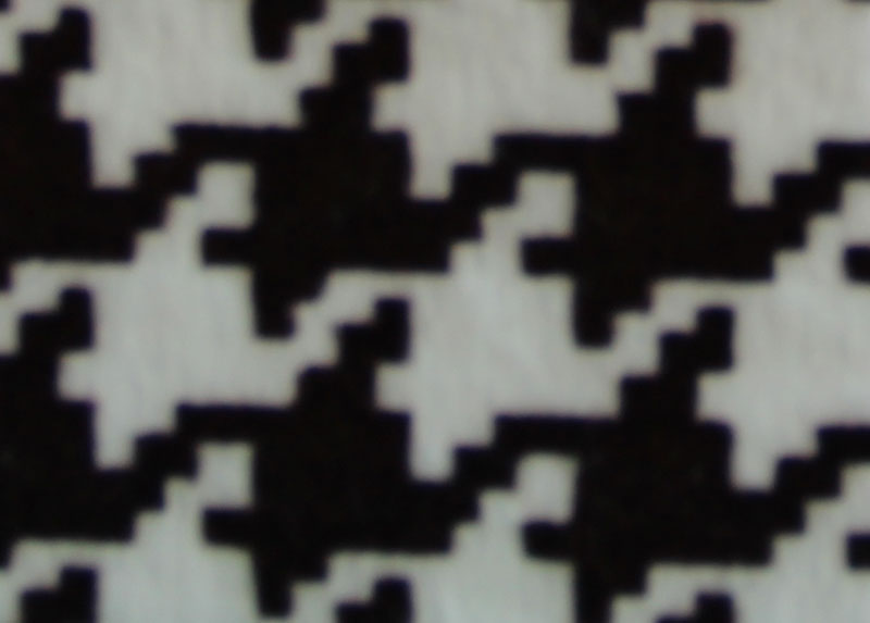PELO CORTO ESTAMPADO - BATOR --- COLOR 3